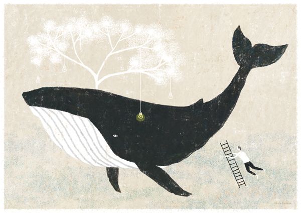 vintage whale illustration.jpg